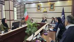 تأکید بر اجرای تعهدات گازی تا پایان بهمن ۱۴۰۴